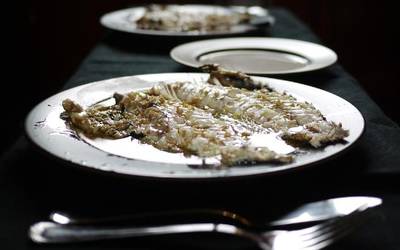 Salgai daude Bisiguaren Festarako txartelak