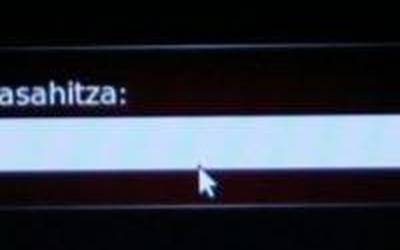 Posible  al  da  pasahitzen  arotik  bizirik  ateratzea?