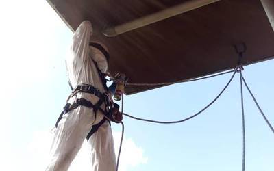 Asiako liztorraren lau habi erretiratu dituzte suhiltzaileek astelehenetik hona