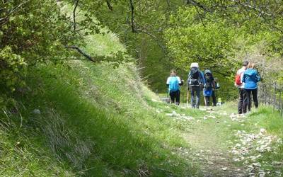 Aralar bertatik bertara ezagutzeko eskaintza