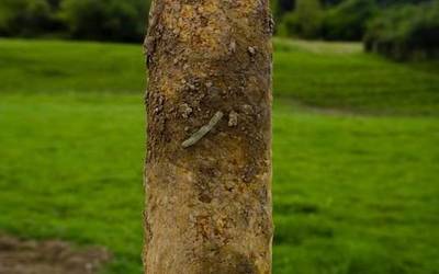 Gerra Zibileko obusa zartatu zuen Ertzaintzak maiatzean Soxogutin