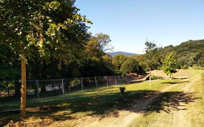 Eurovelo bizikleta bidearen obrak hasi dituzte Basaburuan