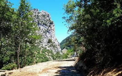 Plazaola eta Ederbidea ahizpa txikiaren magalean