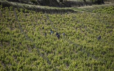 Batzar korapilatsuari aurre egin beharko dio ABRAk