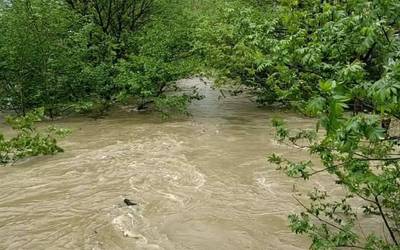 Zein da 'ujelak' Azkoitiko hitzaren esanahia?