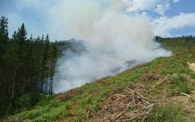 San Juan auzoko baserri bateko lursailek su hartu dute eta suhiltzaileak itzaltzen ari dira