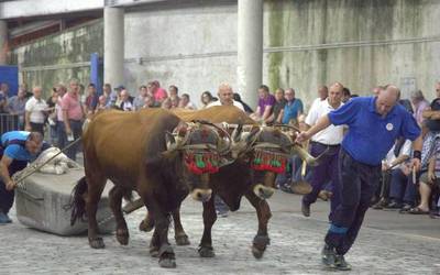 Izetako idi parea nagusi Elgoibarren