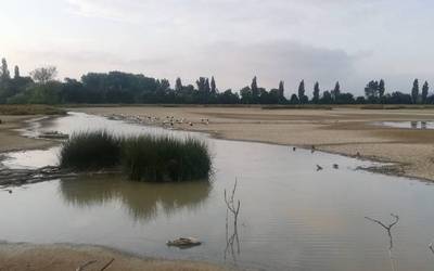 Salburua, parkeen arteko izarra