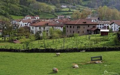 Valledebaztan.com atari turistikoak hogei urte bete ditu