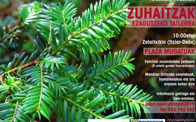 Geoparkeak zuhaitzak ezagutzeko tailerra antolatu du urriaren 13rako