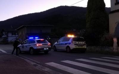 Auto batek bi ardi harrapatu eta hil zituen atzo Gardean