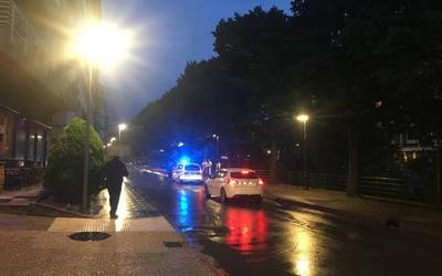 Liztor asiarraren habia bat kendu dute Nerbioi kalean