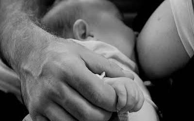 Amagandiko Edoskitzearen IV. Argazki Lehiaketa abian da