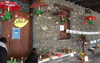 Inoiz baino lehenago heldu da aurten Leitzako Mikologialdia