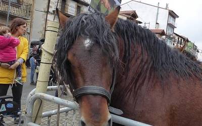 Feria eguna Altsasun