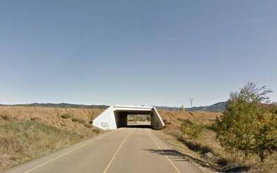 Pirinioetako autobia, mantso baina aurrera
