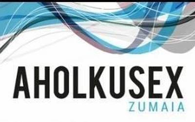 Aholkusex zerbitzuaren zuzeneko arreta saioa izango da ostegunean