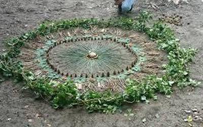 LandArt ekimena aurkeztu digu Edurne Gerendiain Parke Mikologikoko kideak