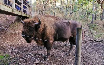 Landa garapenerako egitasmoak bertatik bertara ezagutzen, Palentzian