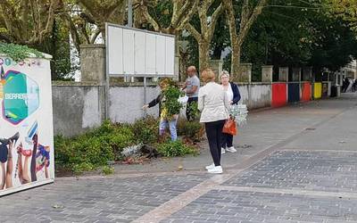 Udalak herritarren eskura jarri ditu lorategietatik kendutako landareak