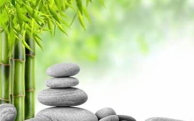 Reiki zerbitzua herrian