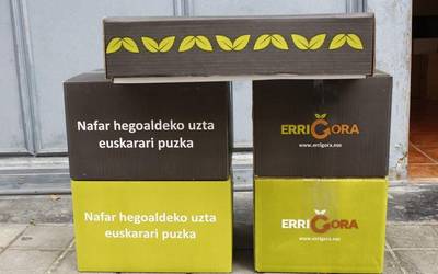 Abian da Errigorako udazkeneko kanpaina