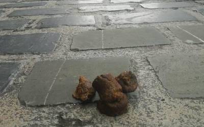 [GUTUNA] Txakurren kakak direla eta
