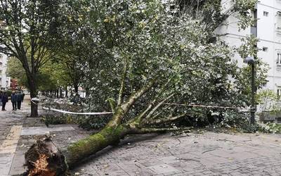 Haizearen eraginez kalteak Bergarako hainbat gunetan