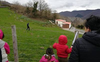 Gaztagintzaren nondik norakoak erakutsiko dituzte Gomiztegin