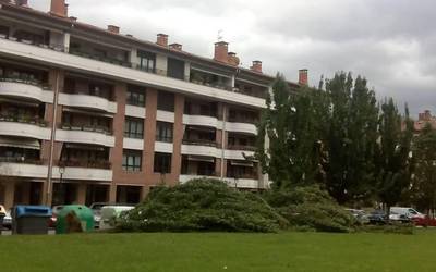 Haizeak zuhaitz bat bota du Trenbidearen Zumardian