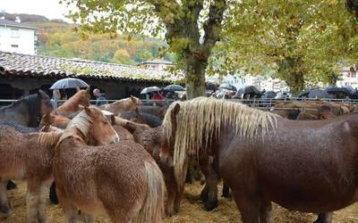 Euriak ez du Doneztebeko feria zapuztu