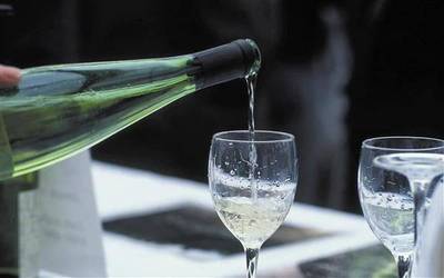ZOZKETA. Bi lagunentzako txakolin dastatzea, On Gourmeten