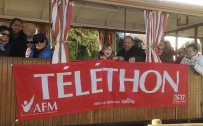 Telethon elkartearen alde abenduaren 7an bilduko dira Saran