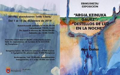 Ana Galar artista lizasoarrak erakusketa jarri du Iruñeko Gaztediaren Etxean