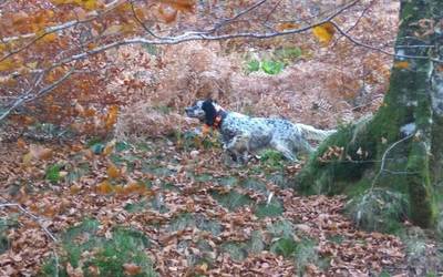 Nafarroan ehizaren alde agertu da Baztango Geroa Bai