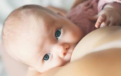 Euskadiko Esnearen Ligaren bilera izango da zapatuan