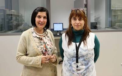 Ikerkuntzak beharrezkoa duen lehengaia