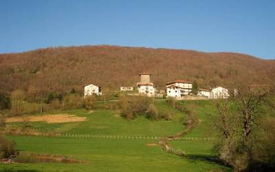 Basaburuko berriak ekarri dizkigu Arantxa Agirreurretak