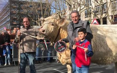 Iturriagaetxebarriaren behiak Leioako Azokan garaile