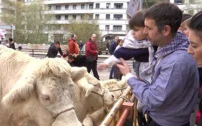 Txiki, handi eta koloretsu, ganadua eta hegaztiak ere festako parte