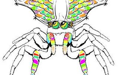 Nork nahi du armiarma bat?