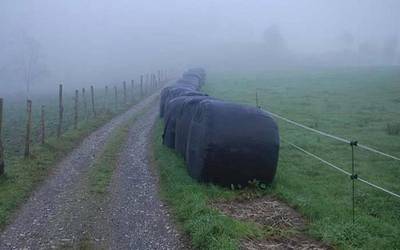 Baserrietako plastikoa batzeko egunak