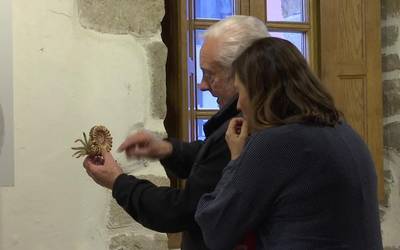 Amoniteen erakusketa ikusgai Ibarraundi museoan