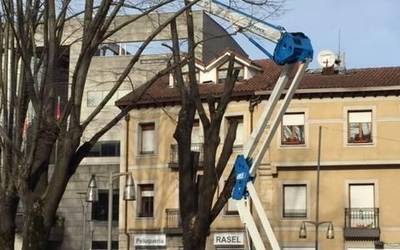 Egoera txarrean dauden zuhaitzak bota eta berriak ipiniko ditu Durangoko Udalak