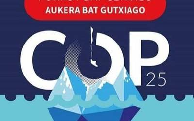 Lurraren ingurumen kolaborazioa, COP25 gailurraz