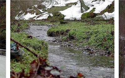 Natura eta zientzia jardunaldiak antolatu ditu Morkaikok bigarrengoz