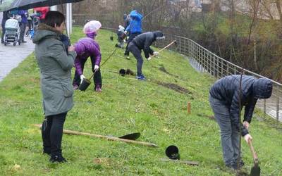 Jaiotza bakoitzeko zuhaitz bat landatzera