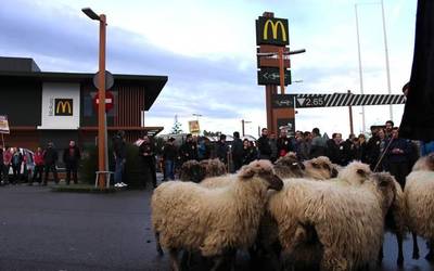 [Bideoa] Ardiak protagonista izan dituen mobilizazioa egin dute Mc Donald´s-en