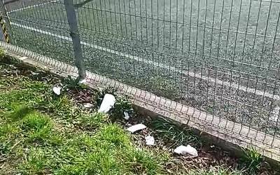 Kejie ta desditxie: 'San Juan futbol zelai ingurua zaborrez beteta'