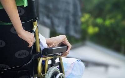Senideak jagoten dituzten 263 leioaztarri lagundu zien iaz Zainduz programak